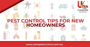 Read more about the article Pest Control Tips for New Homeowners