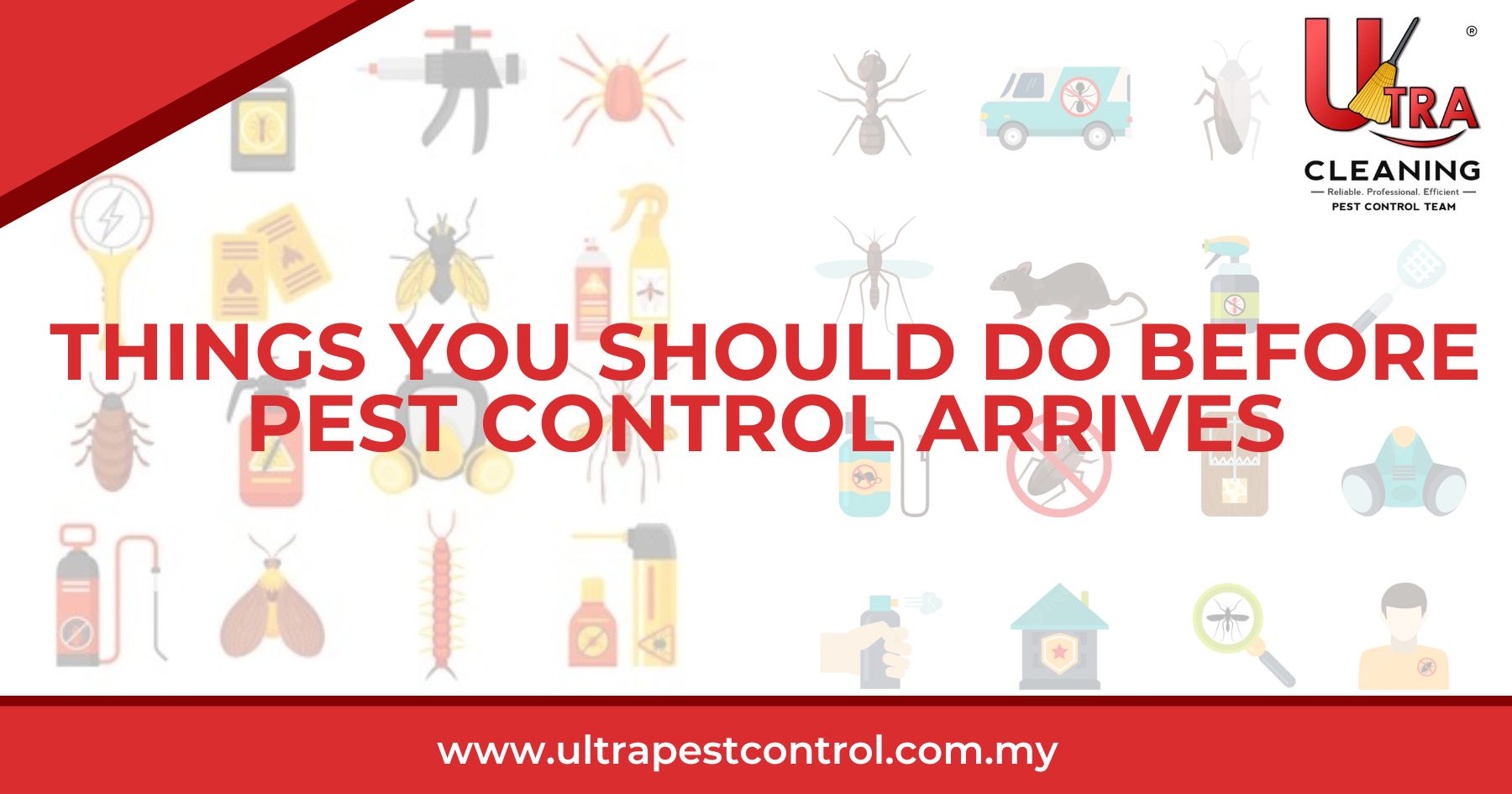 Things You Should Do Before Pest Control Arrives