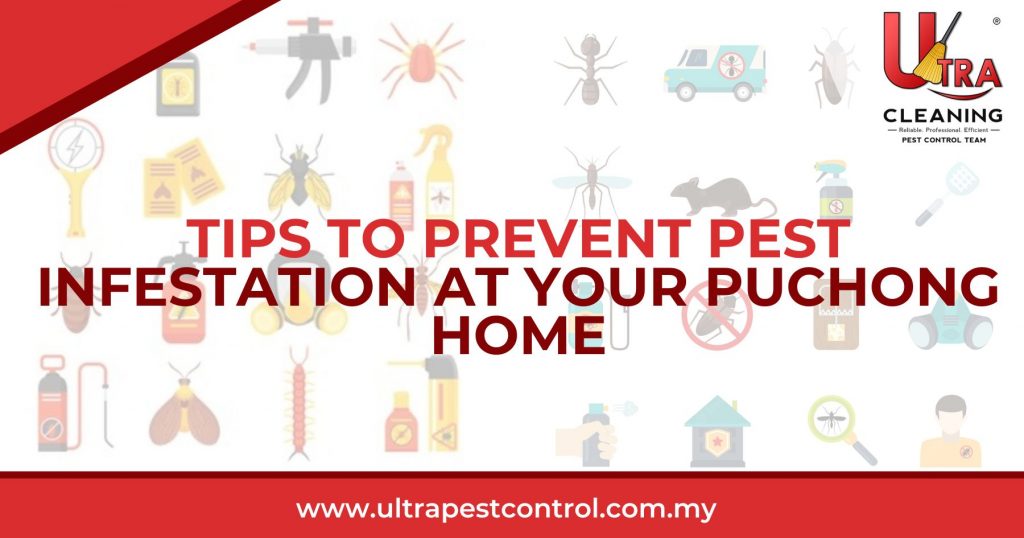 Tips to Prevent Pest Infestation at Your Puchong Home Ultra Pest Control