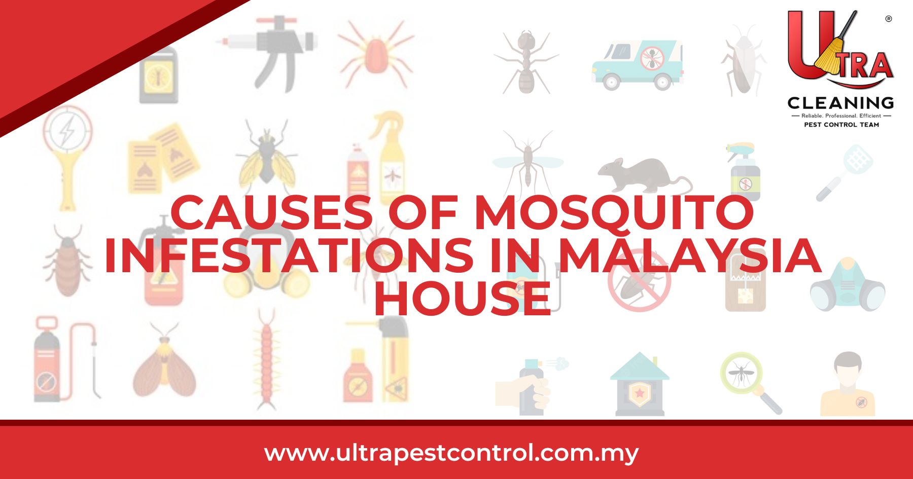 Causes Of Mosquito Infestations in Malaysia House