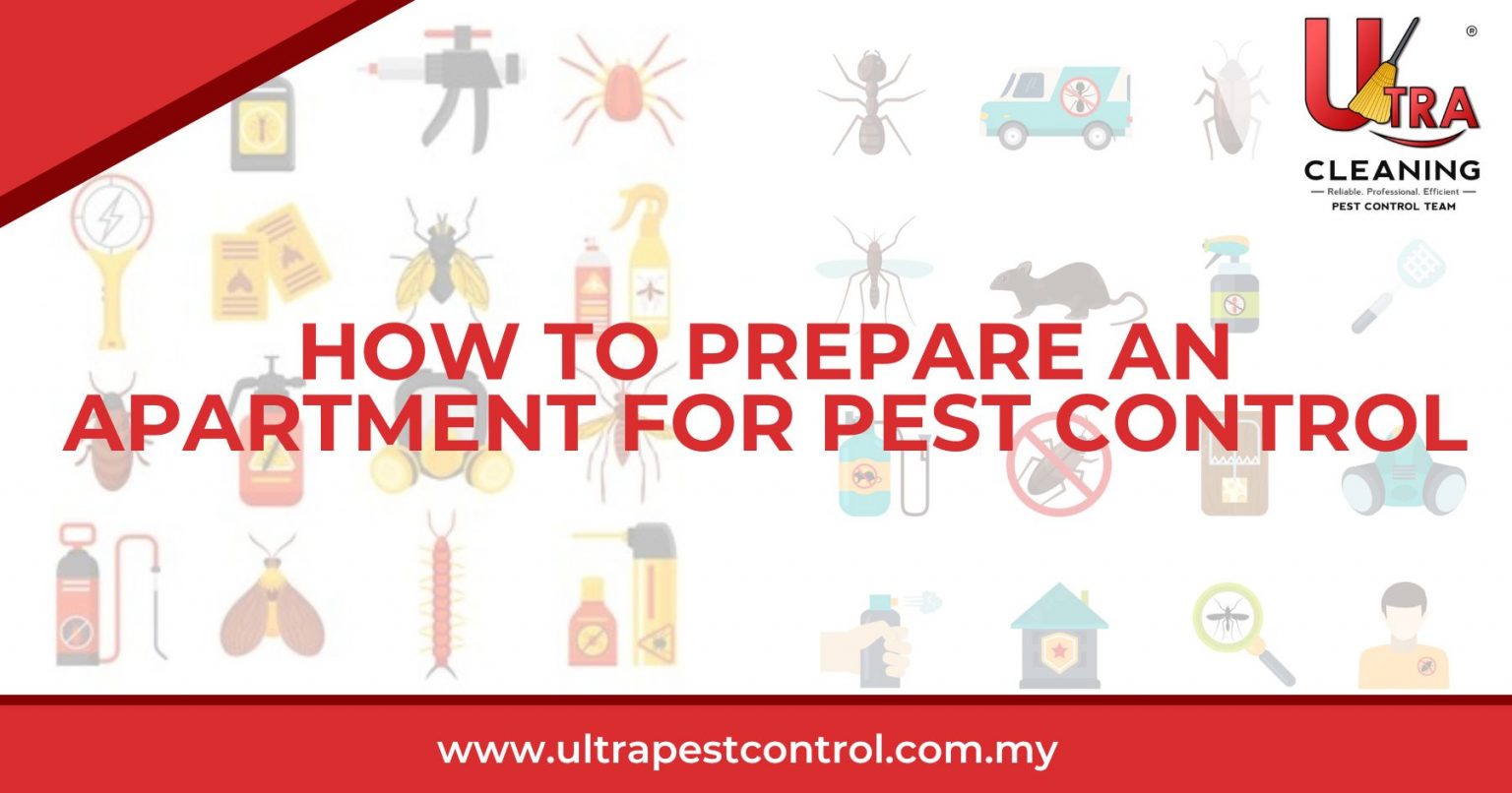 How To Prepare An Apartment For Pest Control Ultra Pest Control