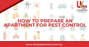 Read more about the article How To Prepare An Apartment For Pest Control