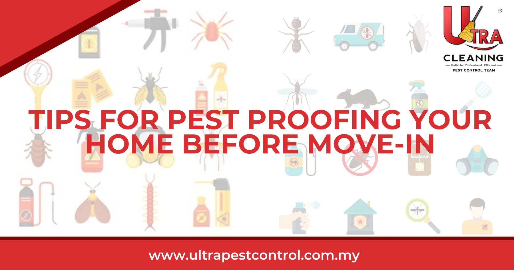 Tips for Pest Proofing Your Home Before Move-In