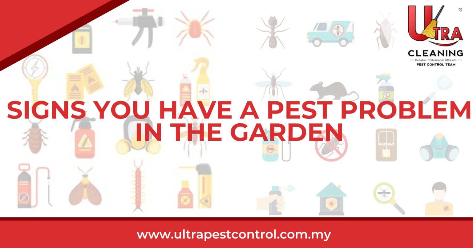 Signs You Have a Pest Problem in the Garden [2024]
