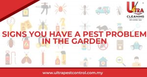 Read more about the article Signs You Have a Pest Problem in the Garden