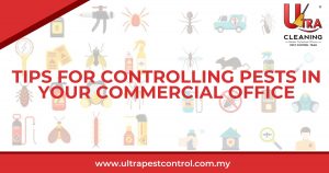 Read more about the article Tips for Controlling Pests in Your Commercial Office
